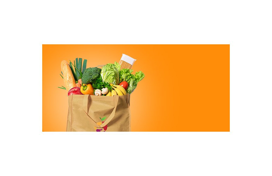 Scelerisque vestibulum urna